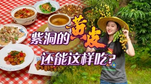 你的黄皮我的黄皮好像不一样？来紫洞，吃不一样的黄皮！